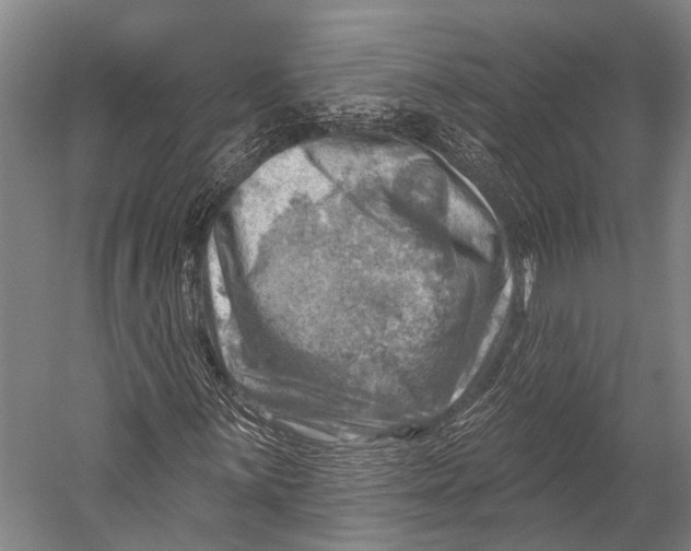 X0000052571059200507221456