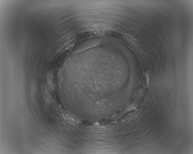 X0000052571060200507221456