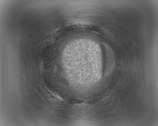 X0000052571061200507221456