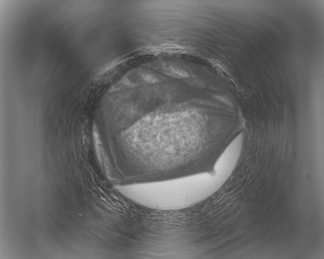 X0000052571063200507221456