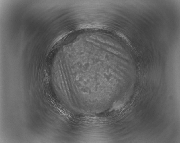 X0000052571064200507221456