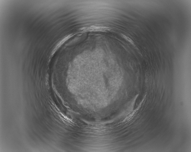 X0000052571066200507221456