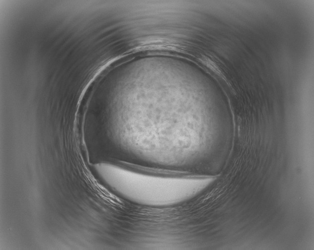 X0000052571068200507221456