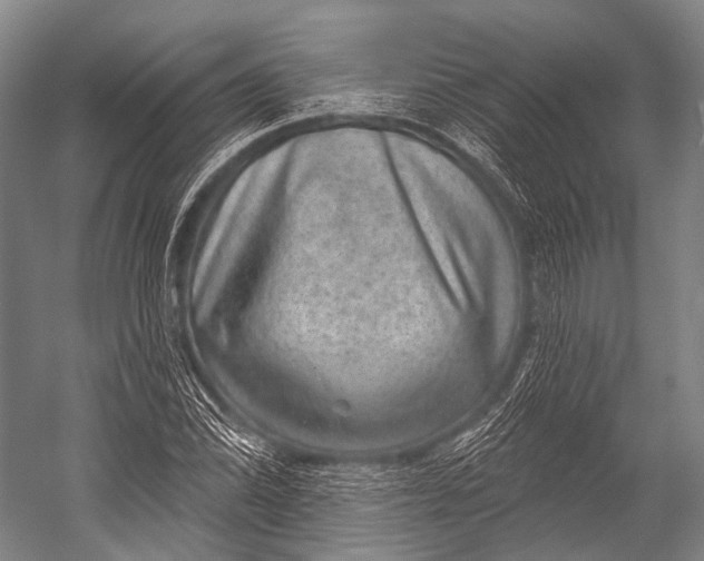 X0000052571070200507221456