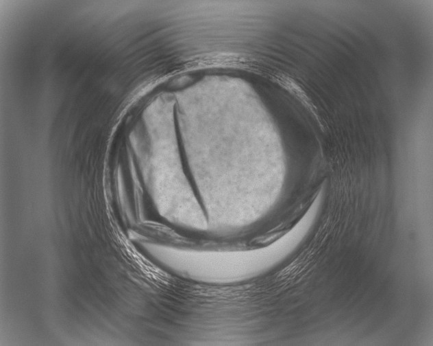 X0000052571072200507221456