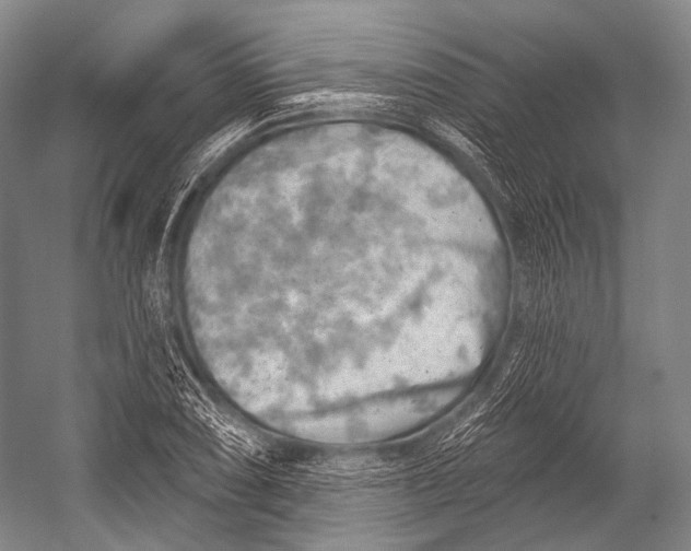 X0000052571074200507221456