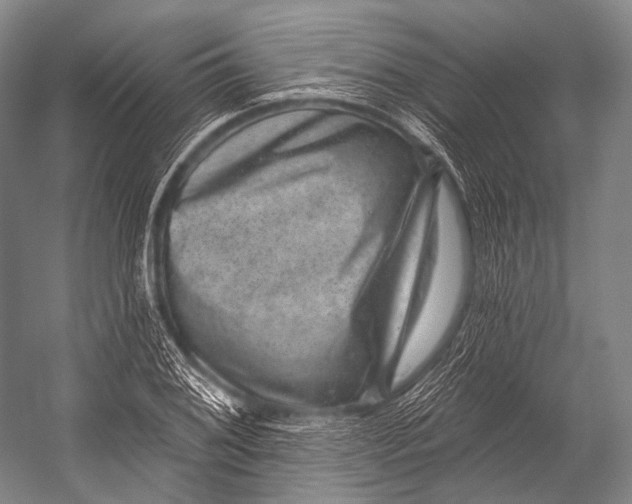 X0000052571076200507221456