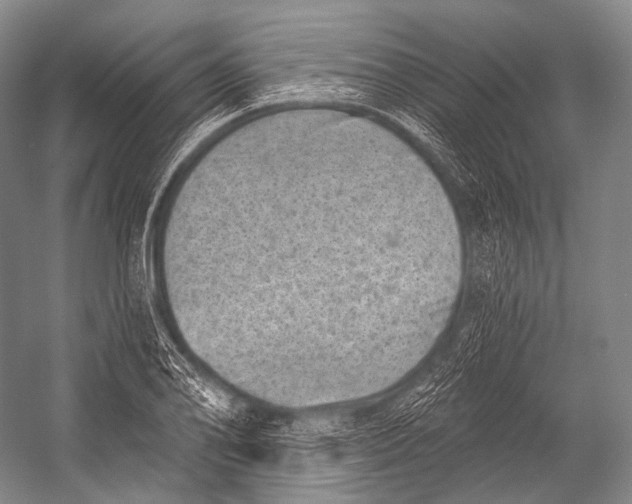 X0000052571078200507221456