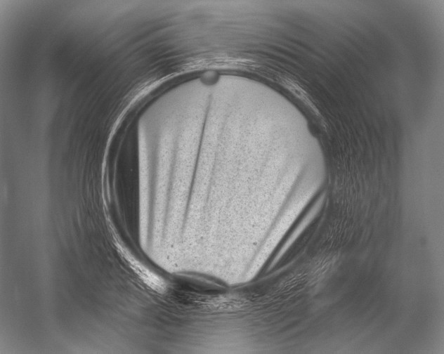 X0000052571080200507221456