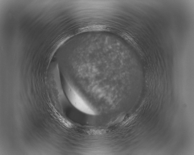 X0000052571081200507221456