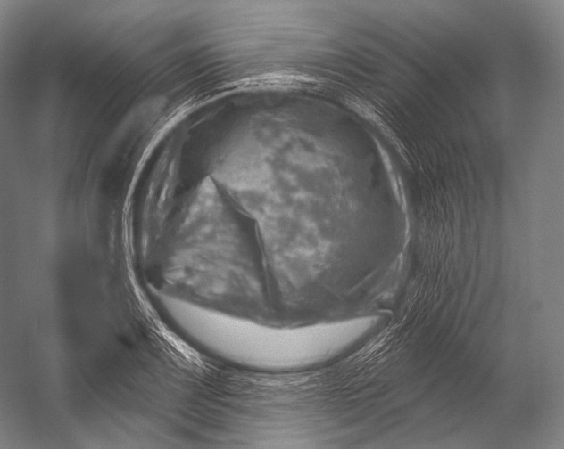 X0000052571083200507221456