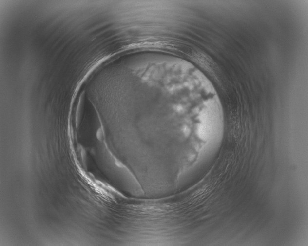 X0000052571084200507221456