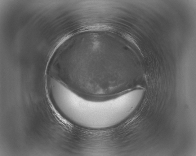 X0000052571087200507221456