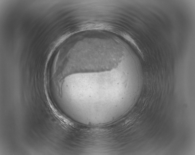 X0000052571088200507221456