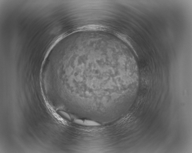 X0000052571091200507221455