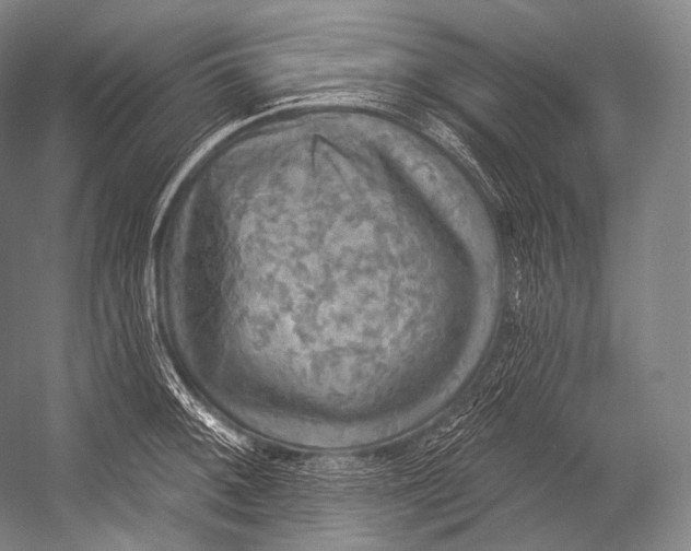 X0000052571092200507221455