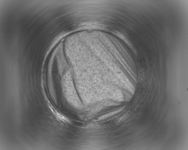 X0000052571094200507221455