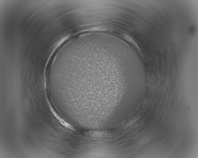 X0000052571095200507221455