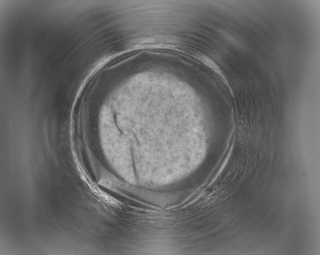 X0000052571096200507221455