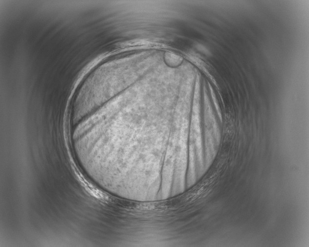 X0000052571098200507221455