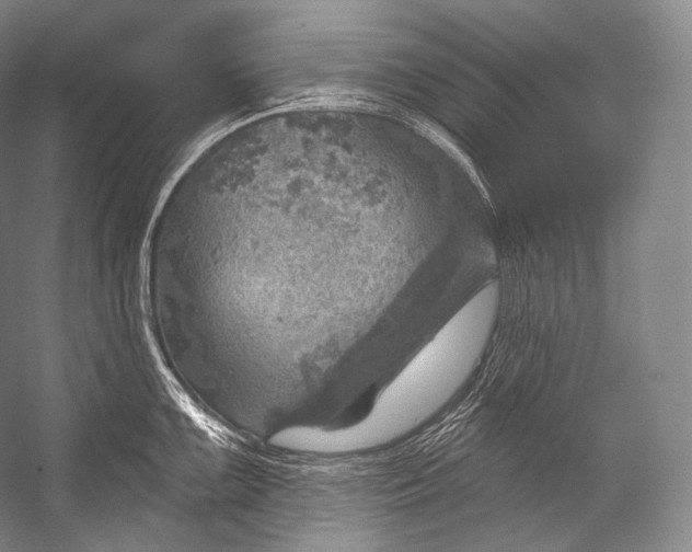 X0000052571099200507221455