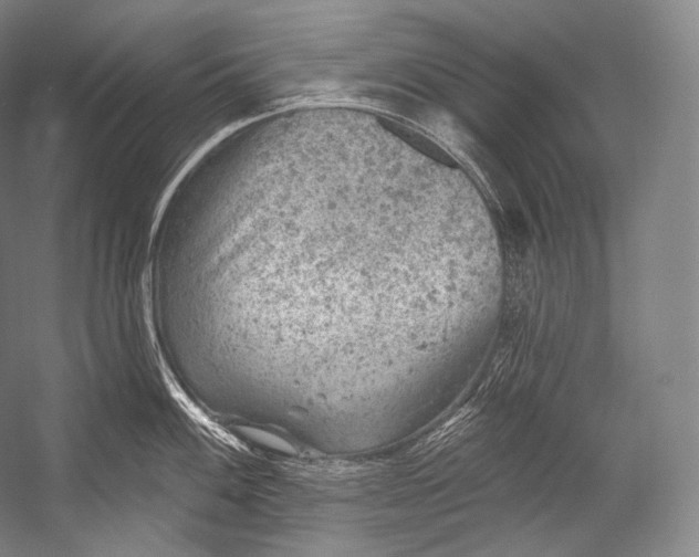 X0000052571100200507221455