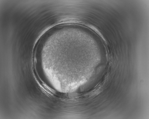 X0000052571101200507221455