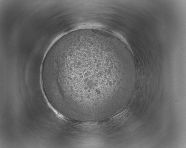 X0000052571103200507221455