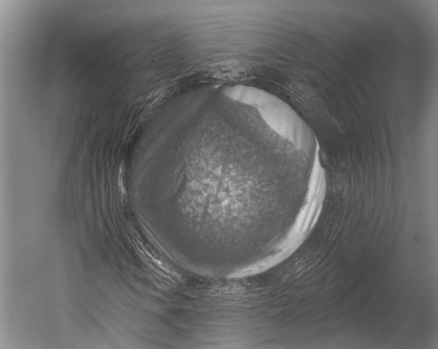 X0000052571106200507221454