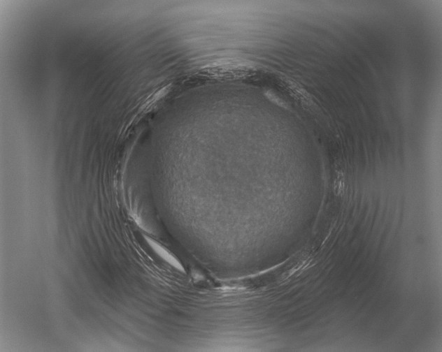 X0000052571108200507221454