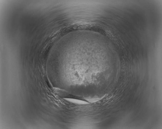 X0000052571109200507221454