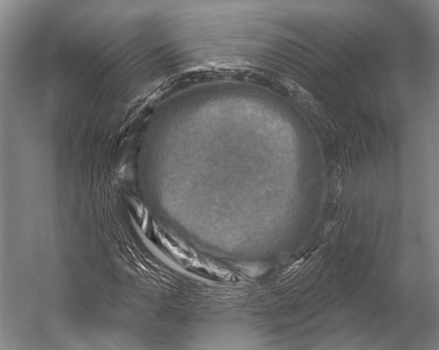 X0000052571110200507221455