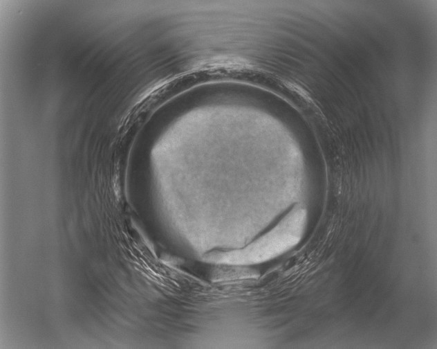 X0000052571112200507221455