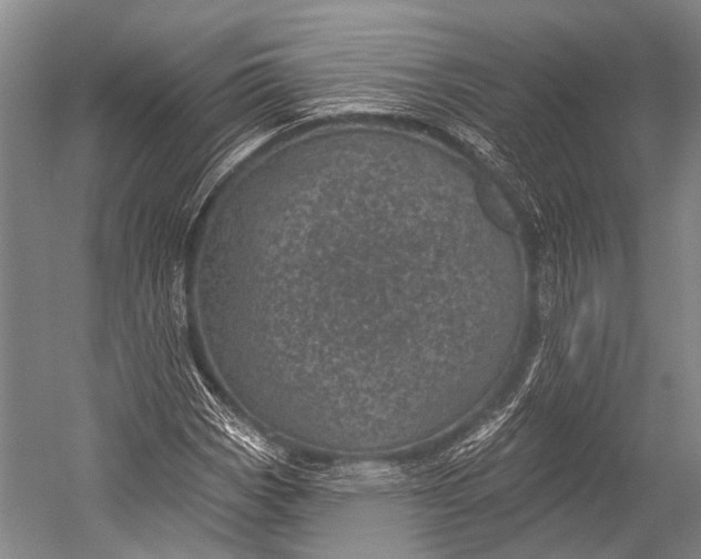 X0000052571113200507221455