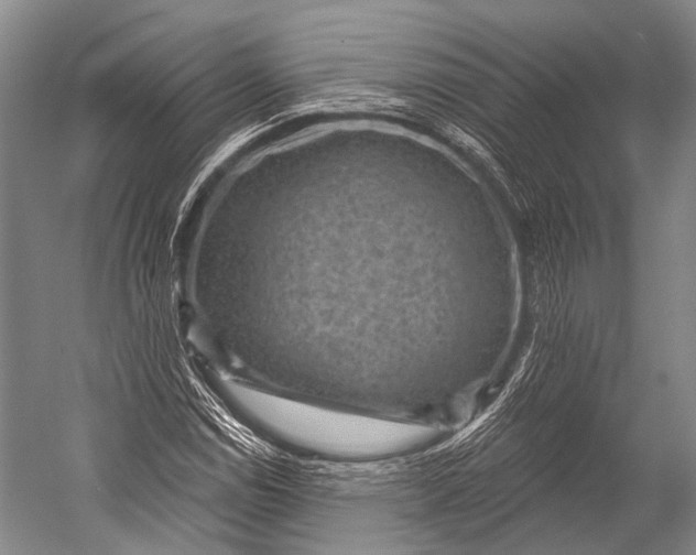 X0000052571114200507221455