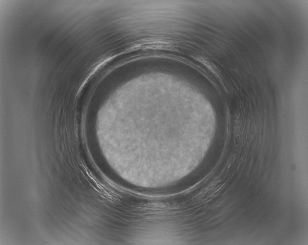 X0000052571115200507221455