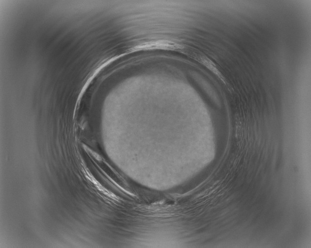 X0000052571116200507221455