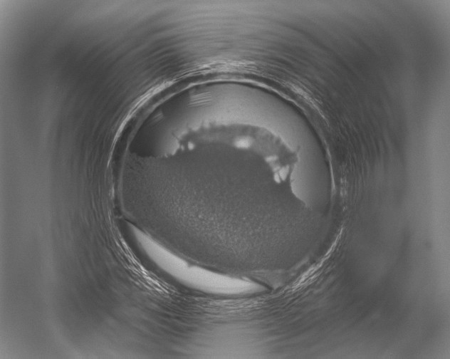 X0000052571117200507221455