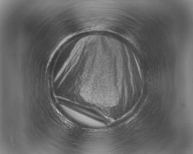 X0000052571118200507221455