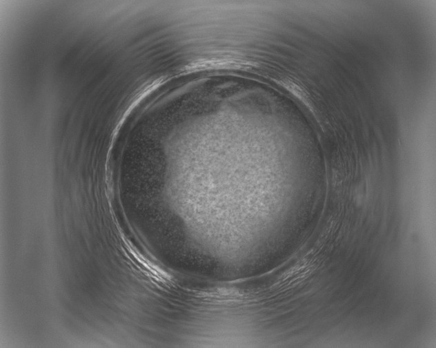 X0000052571119200507221455