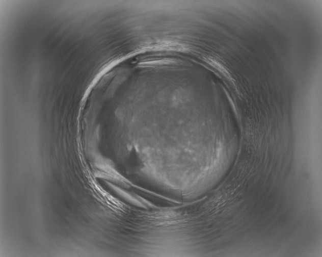 X0000052571120200507221455