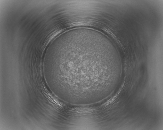 X0000052571121200507221455