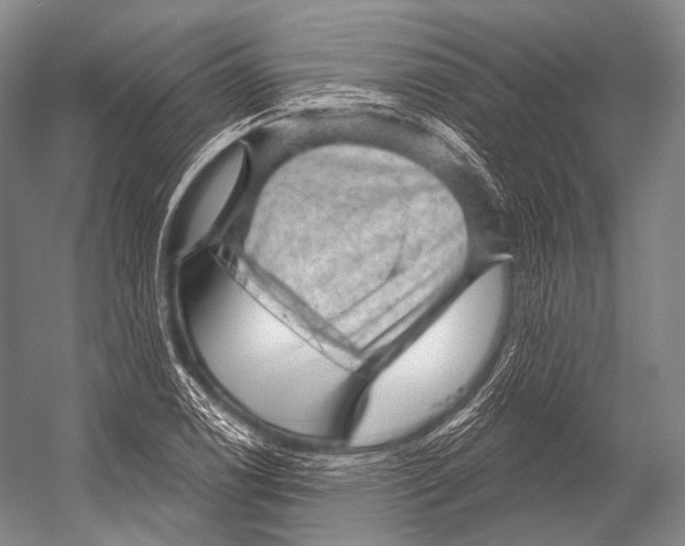 X0000052571122200507221455