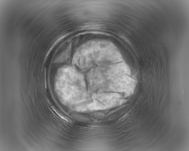 X0000052571123200507221455