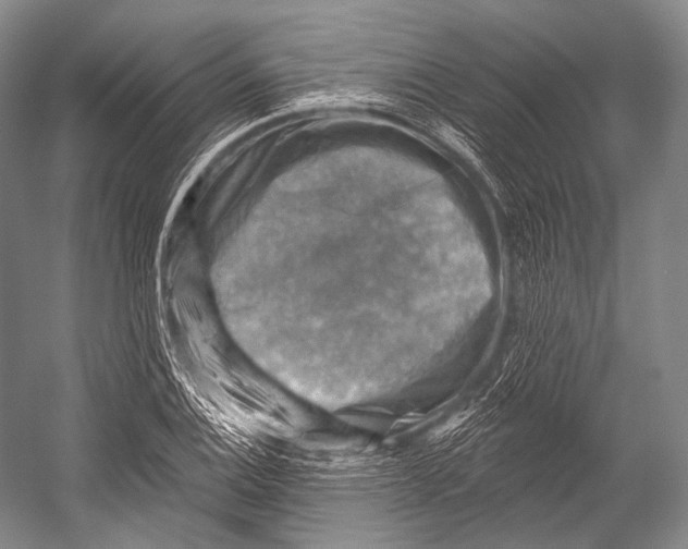 X0000052571124200507221455