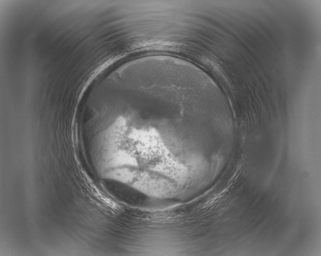 X0000052571125200507221455