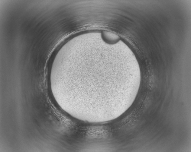 X0000052571126200507221455