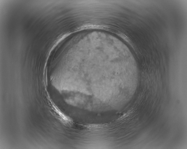 X0000052571127200507221455