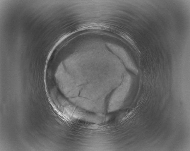 X0000052571128200507221455