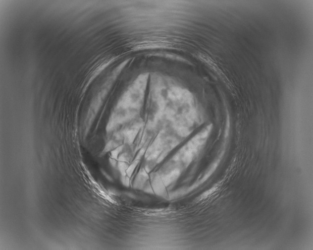 X0000052571129200507221455